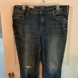 Silver Calley Ankle Skinny Jeans